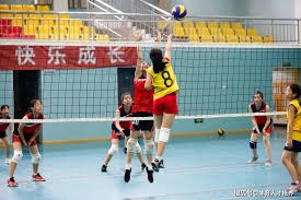 格雷米奥扳平后，主帅梅内塞斯与球迷发生口角并向其竖中指